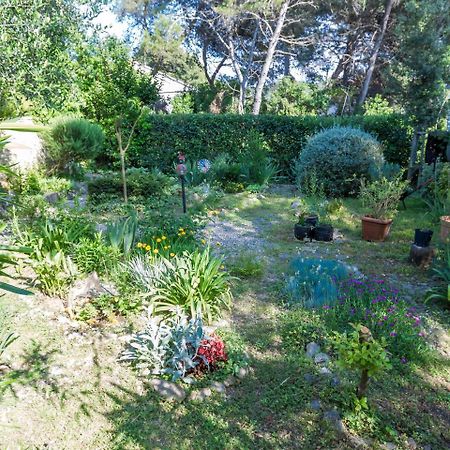 Spacious Holiday Home In Molat With Pool Brgulje Bagian luar foto