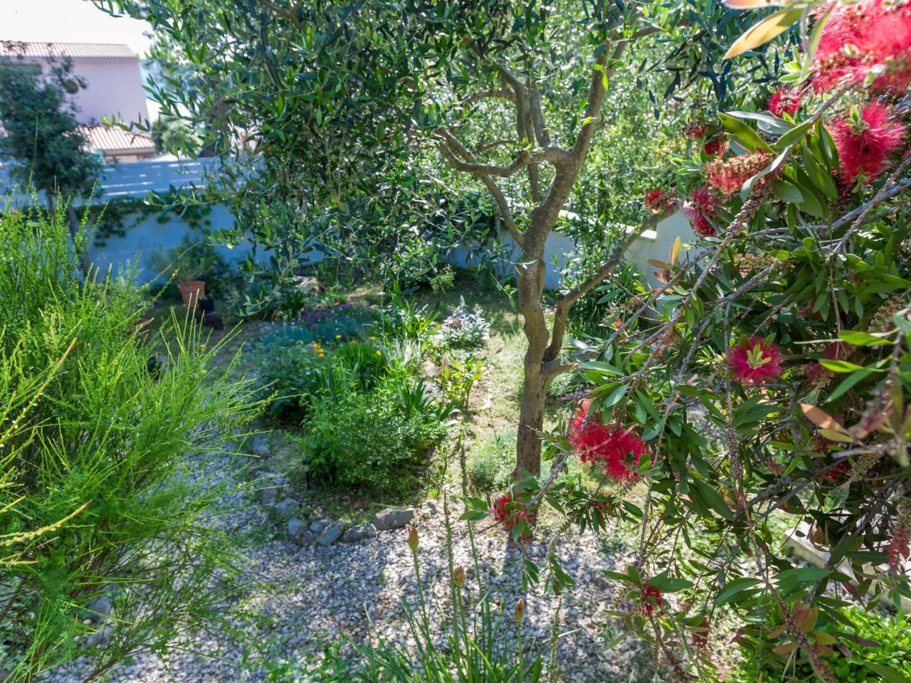 Spacious Holiday Home In Molat With Pool Brgulje Bagian luar foto